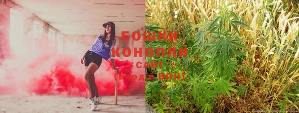 ГАЛЛЮЦИНОГЕННЫЕ ГРИБЫ Белокуриха