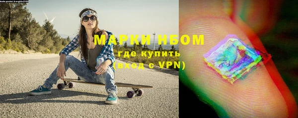 ГАЛЛЮЦИНОГЕННЫЕ ГРИБЫ Белокуриха