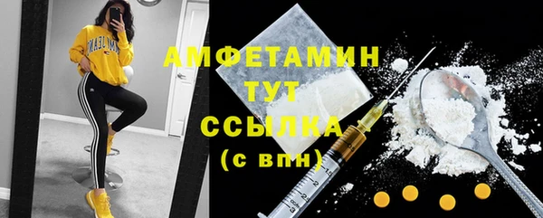 ГАЛЛЮЦИНОГЕННЫЕ ГРИБЫ Белокуриха
