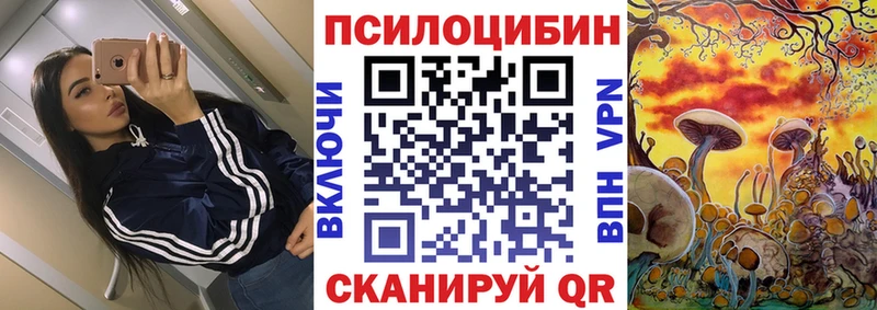 Псилоцибиновые грибы Psilocybe  Кодинск 